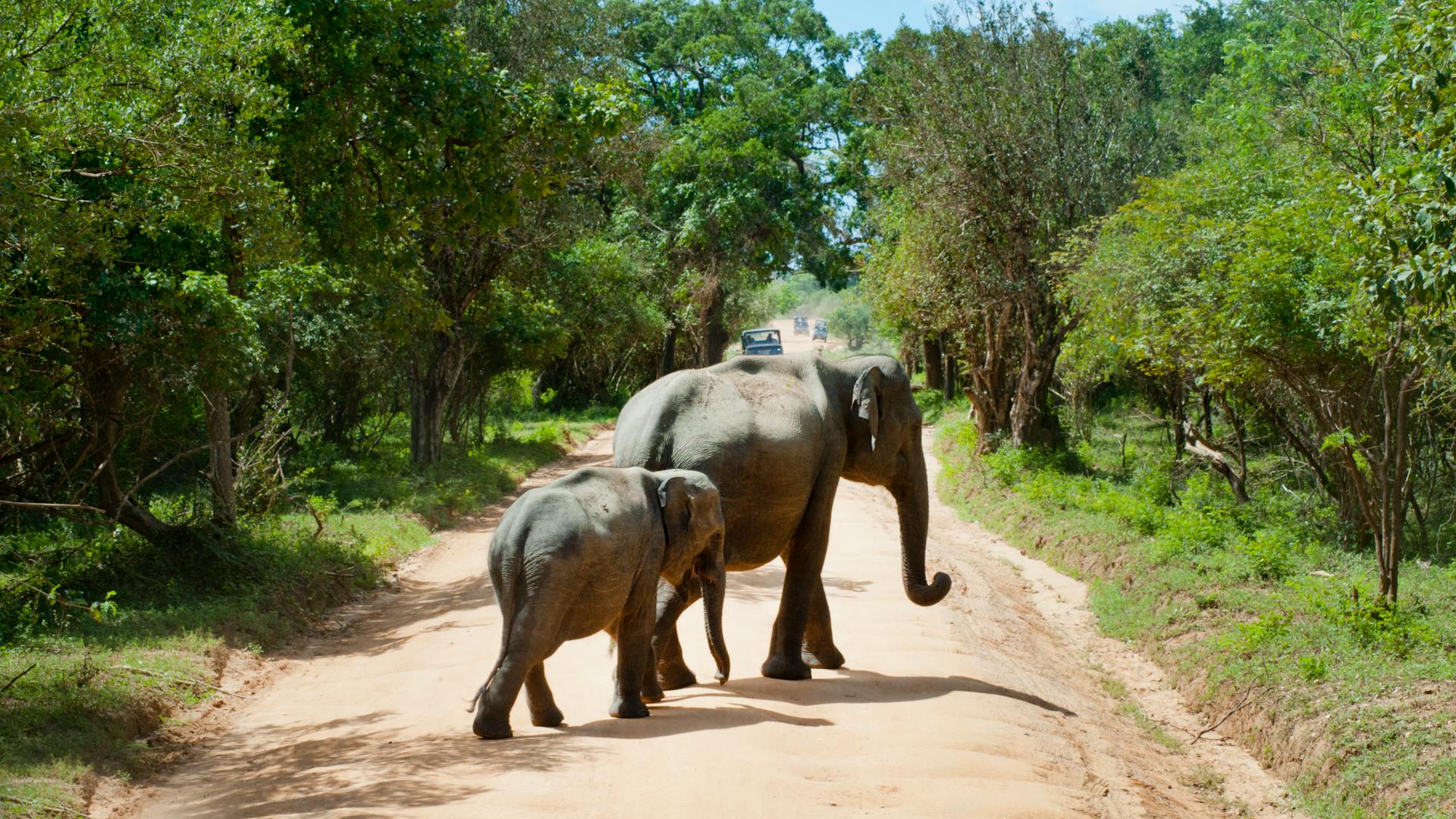 pexels-photo-321526-1